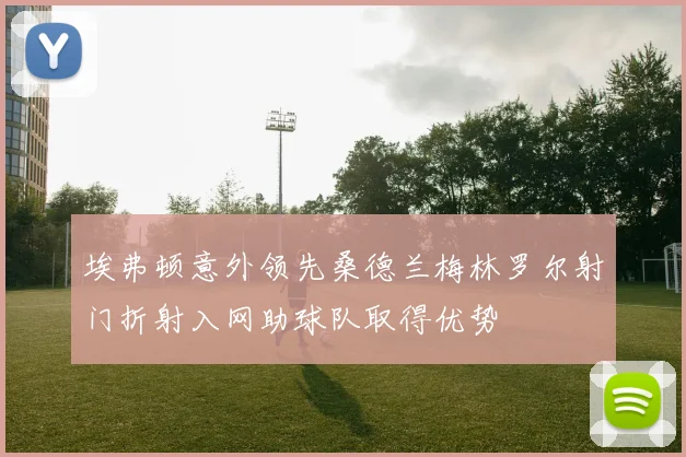 埃弗顿意外领先桑德兰梅林罗尔射门折射入网助球队取得优势