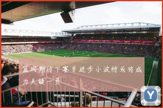 篮网期待下赛季进步小波特或将成为关键一员